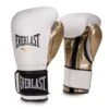 Everlast Powerlock Hook & Loop Training Boxing Gloves