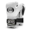 Cleto Reyes Velcro Sparring Boxing Gloves