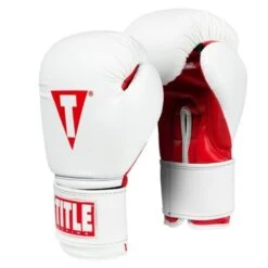TITLE Essential Boxing Gloves