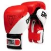 TITLE Gel E-Series Training/Sparring Gloves