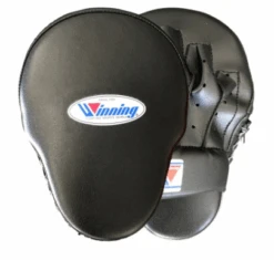 Winning CM-65 High Grade Type Punch Mitts