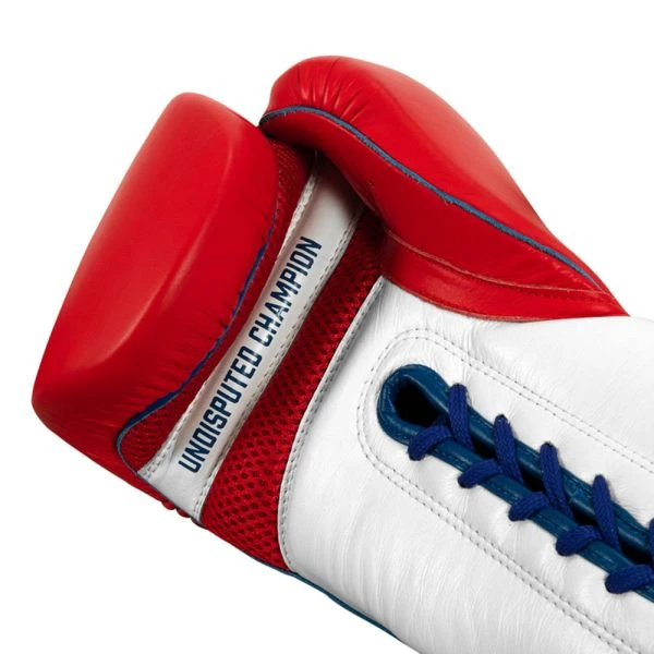 TITLE Boxing Sugar Ray Leonard Signature Leather Sparring Gloves - Image 5