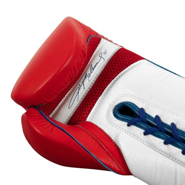 TITLE Boxing Sugar Ray Leonard Signature Leather Sparring Gloves - Image 6